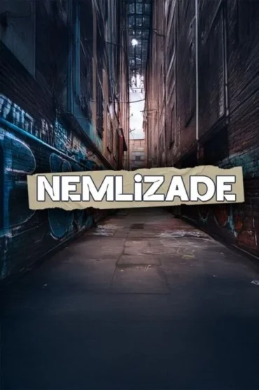 Nemlizade Dizi
